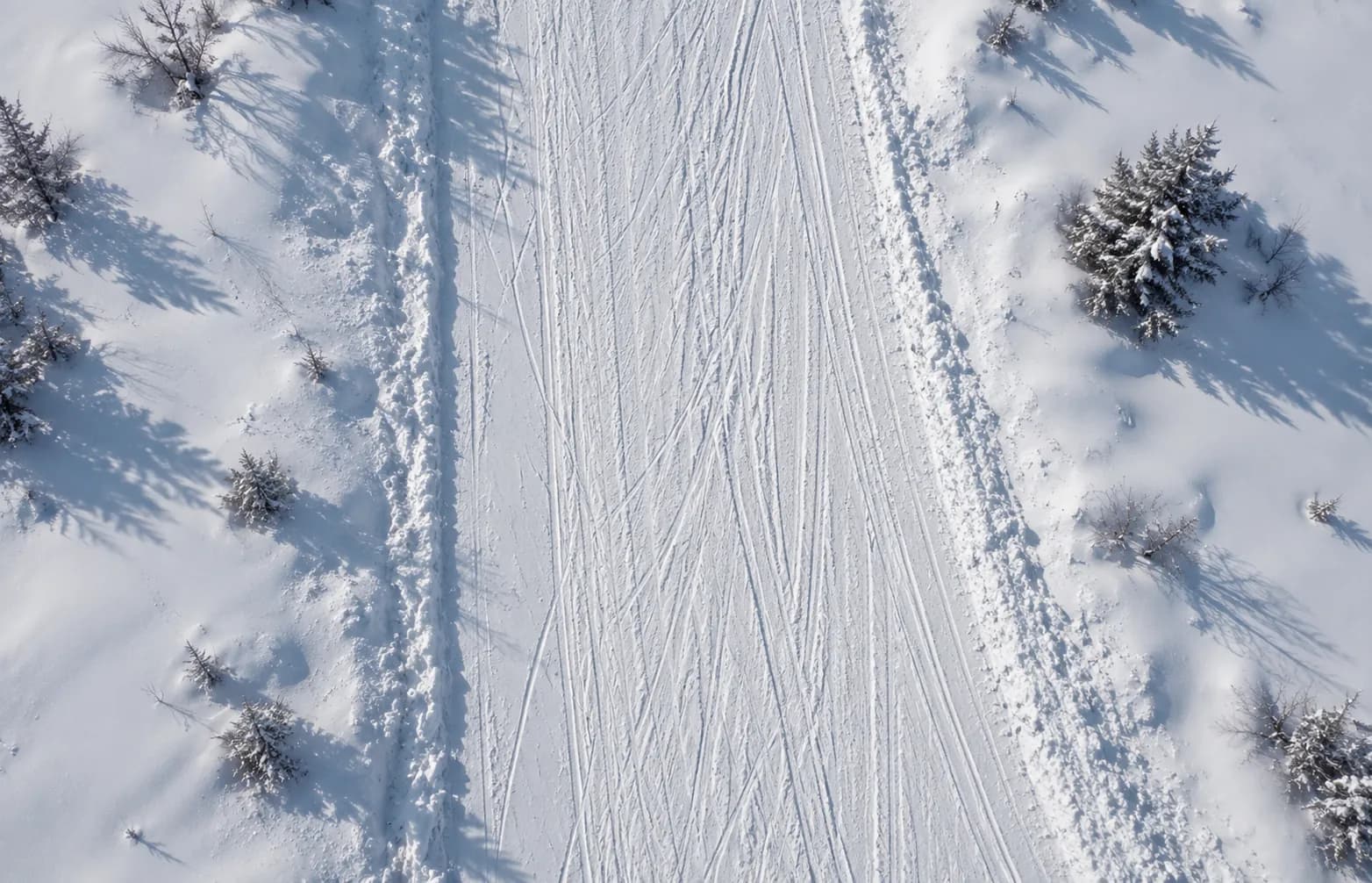 RAPTOREX SNOW line card